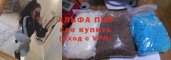 стаф Верхний Тагил