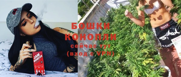 прущие грибы Верхнеуральск