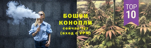 прущие грибы Верхнеуральск